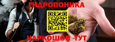 шишки Кунгур