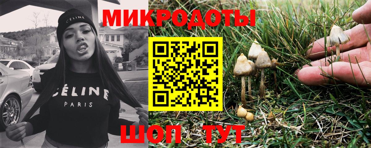 Фурманов  Псилоцибиновые грибы мухоморы  Вход с VPN 